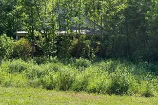 451 Hollywood Farm Rd, Fredericksburg, VA 22405 - Photo 1
