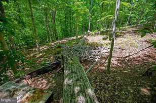 131 Arden Ln, Stafford, VA 22556 - Photo 81