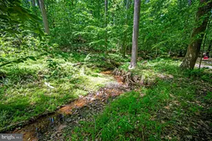 131 Arden Ln, Stafford, VA 22556 - Photo 79