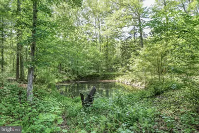 32 Layline Lane, Fredericksburg, VA 22406 - Photo 13