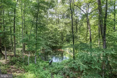 32 Layline Lane, Fredericksburg, VA 22406 - Photo 11