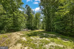 626 Long Meadow Dr, Fredericksburg, VA 22406 - Photo 43