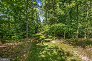 626 Long Meadow Dr, Fredericksburg, VA 22406 - Photo 45