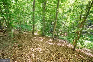3612 Aquia Dr, Stafford, VA 22554 - Photo 43