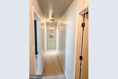 40 Rocky Drive, Stafford, VA 22554 - Photo 19