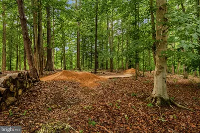 89 Charter Gate Drive, Fredericksburg, VA 22406 - Photo 107