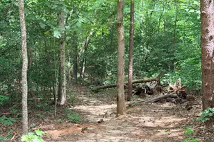 278 Richland Rd, Fredericksburg, VA 22406 - Photo 3