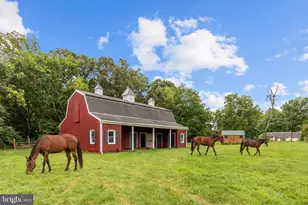 305 Chapel Green Rd, Fredericksburg, VA 22405 - Photo 5