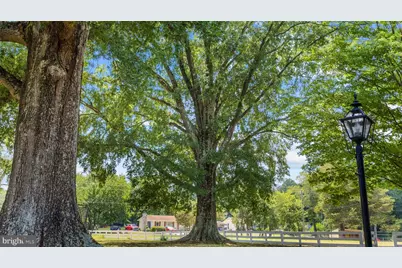 305 Chapel Green Road, Fredericksburg, VA 22405 - Photo 7
