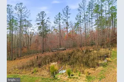 51 Serene Hills Drive, Fredericksburg, VA 22406 - Photo 49