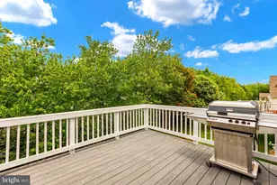 22 Chantilly Pl, Fredericksburg, VA 22406 - Photo 43