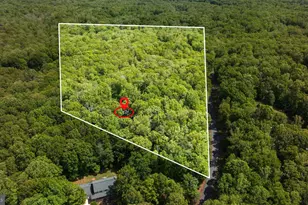 81 Lady Jane Ln, Fredericksburg, VA 22406 - Photo 53