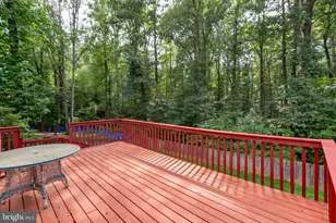 23 Willow Branch Pl, Fredericksburg, VA 22405 - Photo 37