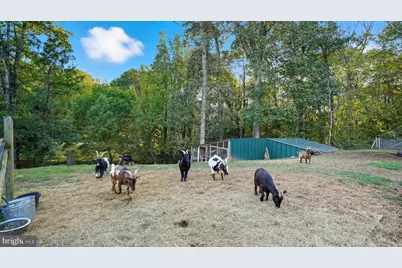 49 Dog Patch Lane, Stafford, VA 22554 - Photo 55
