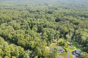 316 Tacketts Mill Rd, Stafford, VA 22556 - Photo 47