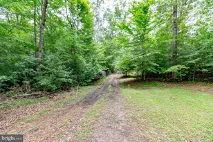 37 Koval Ln, Fredericksburg, VA 22406 - Photo 59