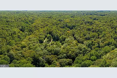 145 King Daniels Way, Fredericksburg, VA 22406 - Photo 9