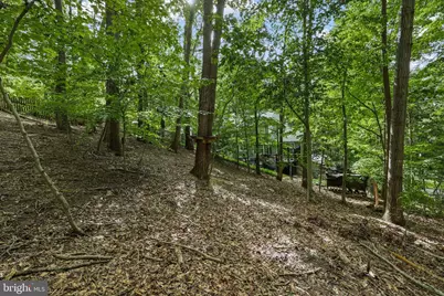 317 Cutter Cove, Stafford, VA 22554 - Photo 65