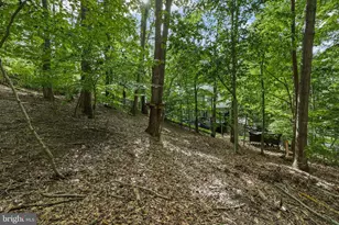 317 Cutter Cove, Stafford, VA 22554 - Photo 65