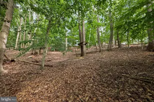 317 Cutter Cove, Stafford, VA 22554 - Photo 63