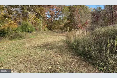 321 Cambridge Street, Fredericksburg, VA 22405 - Photo 9