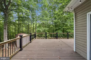 1199 Honeysuckle Wy, Stafford, VA 22556 - Photo 49