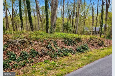 100 Hampton Drive, Fredericksburg, VA 22405 - Photo 3