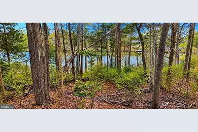 100 Hampton Drive, Fredericksburg, VA 22405 - Photo 5