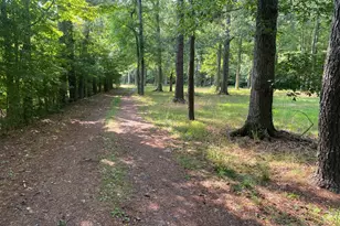 1521 Sandbridge Rd, Virginia Beach, VA 23456 - Photo 3