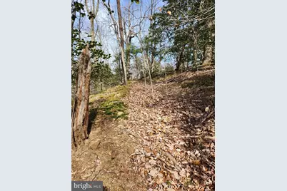 Lot 69 Plantation, Montross, VA 22520 - Photo 3