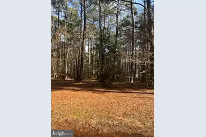 Lot 90 Sec 3 S Glebe Rd, Montross, VA 22520 - Photo 9