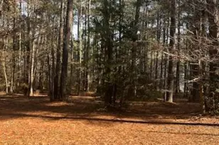 S Glebe Rd, Montross, VA 22520 - Photo 9