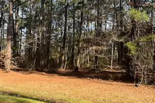 S Glebe Rd, Montross, VA 22520 - Photo 7