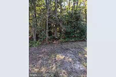 Pine Street, Colonial Beach, VA 22443 - Photo 1