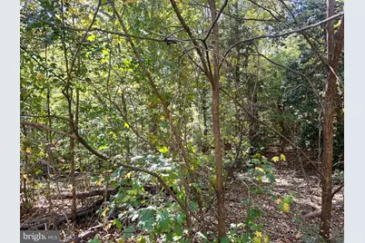Lot 110 Bishop Drive, Montross, VA 22520 - Photo 5