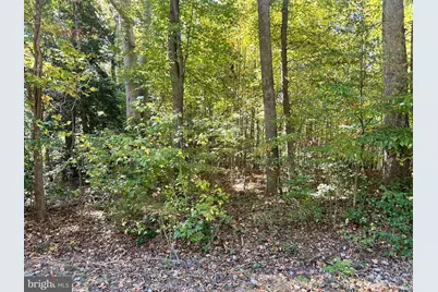 Lot 110 Bishop Drive, Montross, VA 22520 - Photo 11