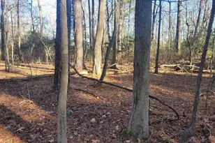 Lot 13 Holiday Ln, Hague, VA 22469 - Photo 1