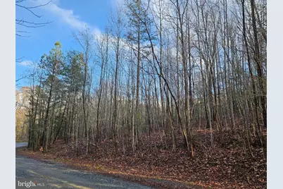 Lots 7,8,9 Old Prospect Landing Road, Montross, VA 22520 - Photo 3