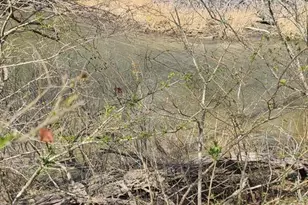 922 Skipjack Rd, Kinsale, VA 22488 - Photo 9