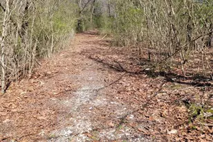 922 Skipjack Rd, Kinsale, VA 22488 - Photo 7