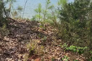 922 Skipjack Rd, Kinsale, VA 22488 - Photo 33