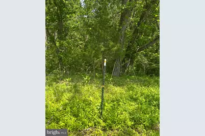 Lot 1A Kings Hwy, Montross, VA 22520 - Photo 3