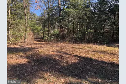 Lot 20 Chrystal Rd., Colonial Beach, VA 22443 - Photo 5