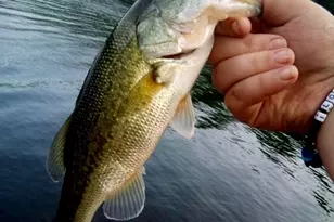 316 Plantation Dr, Montross, VA 22520 - Photo 15