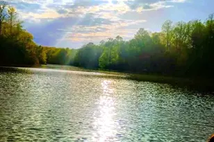 316 Plantation Dr, Montross, VA 22520 - Photo 25