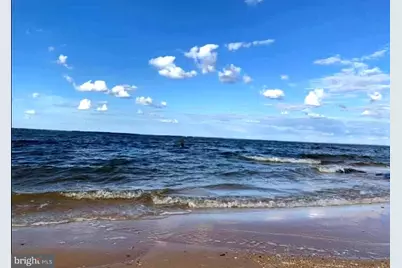 316 Plantation Drive, Montross, VA 22520 - Photo 39