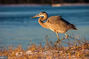 316 Plantation Dr, Montross, VA 22520 - Photo 105