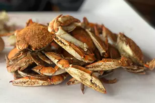 316 Plantation Dr, Montross, VA 22520 - Photo 103