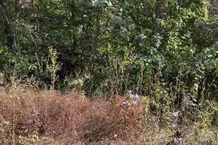 Lot 41 Travellers Circle, Montross, VA 22520 - Photo 1