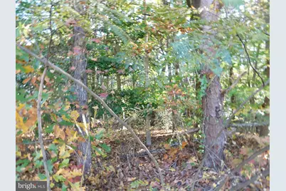 Tn 10C 8 1 23 Forest Grove Road, Colonial Beach, VA 22443 - Photo 5